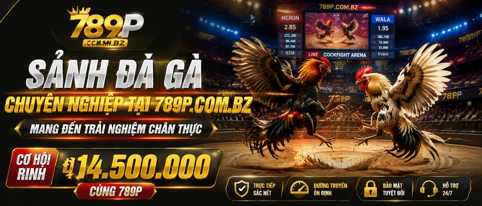 Đá Gà Thomo